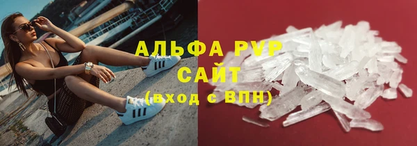 PSILOCYBIN Богородицк