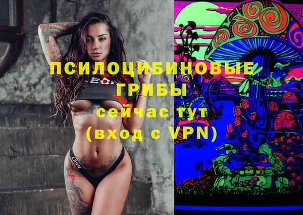 PSILOCYBIN Богородицк