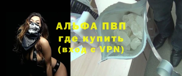 PSILOCYBIN Богородицк