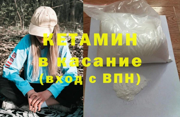 прущие грибы Богородск