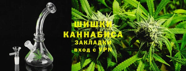 PSILOCYBIN Богородицк