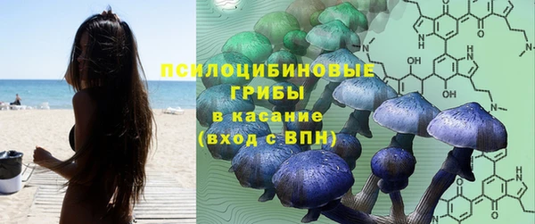 PSILOCYBIN Богородицк