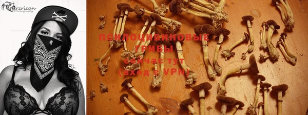 марихуана Богданович