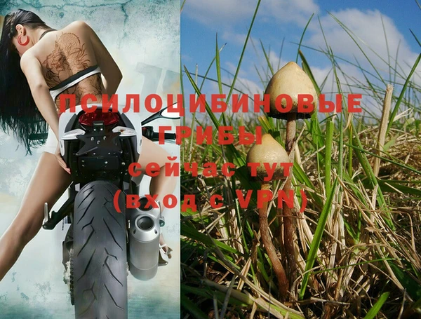 марихуана Богданович