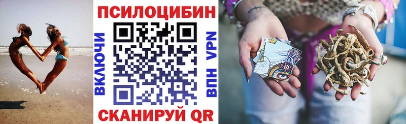 Псилоцибиновые грибы Psilocybe  omg ONION  Ростов 